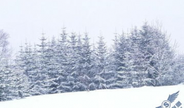 下雪漫画图,冬日童话的温馨画卷